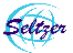 Seltzer Engineering Services Pvt Ltd